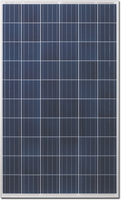 risen-solar-Panel